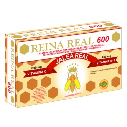 Jalea Reina Real 600 (Robis)