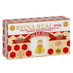 Jalea Reina Real Vital (Robis)