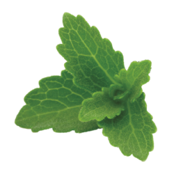 Stevia liquida 90ml (Santiveri)