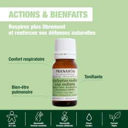 Aceite Esencial de Eucalipto Pranarôm (10 ml)