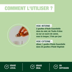Aceite Esencial de Eucalipto Pranarôm (10 ml)