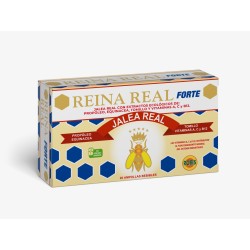 Jalea Reina Real Forte (Robis)
