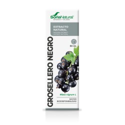 Extracto Grosellero Negro 50ml (Soria Natural)