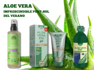 Aloe Vera: El imprescindible post-sol del verano