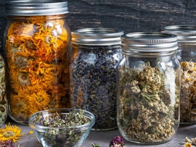 Infusiones y plantas ideales para los días más frescos